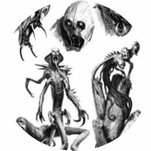 Francesco Biagini - Visual artist