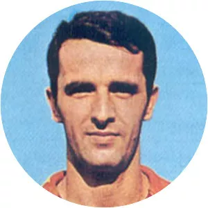 Francesco Carpenetti - Italian football player