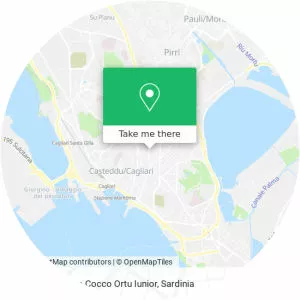 Francesco Cocco-Ortu