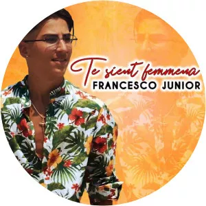 Francesco Junior - Musical artist