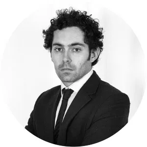 Francesco Nasini - Painter