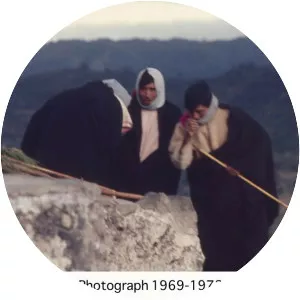 Francesco Pellizzi - Author