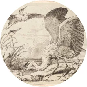 Francis Barlow - English painter