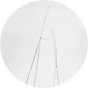 Francis Dusépulchre - Visual artist