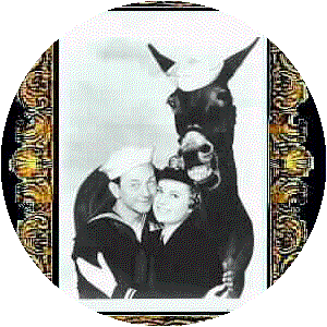 Francis the Talking Mule