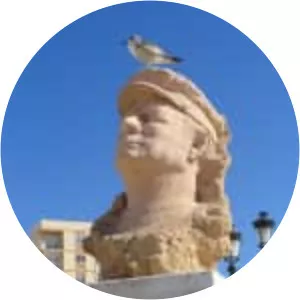 Francisco Alba Medina