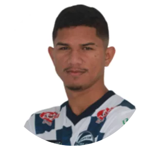 Francisco Everton Mota de Castro