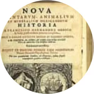 Francisco Hernández de Toledo