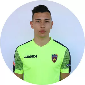 Francisco Javier Montoya Molina