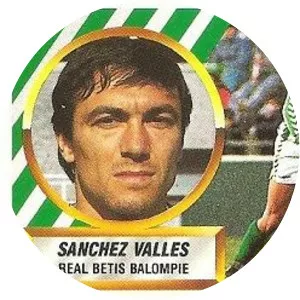 Francisco Javier Sánchez Vallés