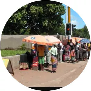 Francisco Mahecuane - Musical artist