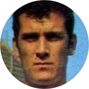 Francisco Marfil Muñoz