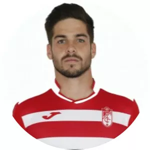 Francisco Torres Muñoz