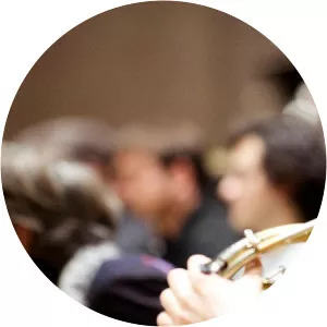 Francois Bastian Musician