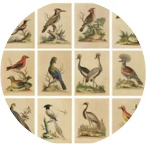 François-Nicolas Martinet