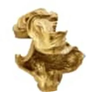 François-Raoul Larche