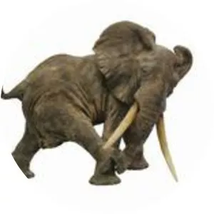 Francois Vandenberghe