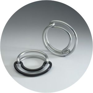 Françoise van den Bosch