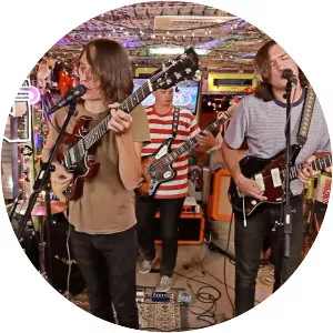 Frankie & The Witch Fingers