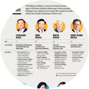 Frankle Widjaja - Executive ‧ Eka Tjipta Widjaja's son