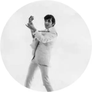 Franky Luyten - Musician