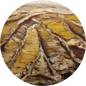 Frano Šimunović - Painter