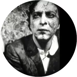 Frans Zwartjes - Artist