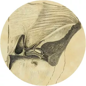 Franz Kaspar Hesselbach