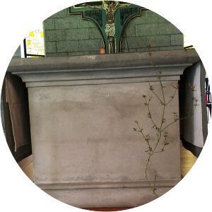 Fraternidad Santa María del Encuentro Rincón de Milberg