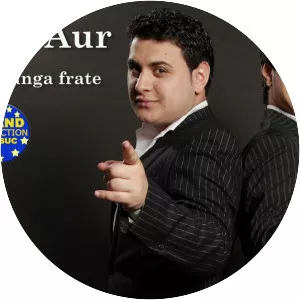 Fratii de Aur - Musical artist