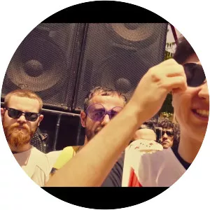 Fratii Grime - Musical artist