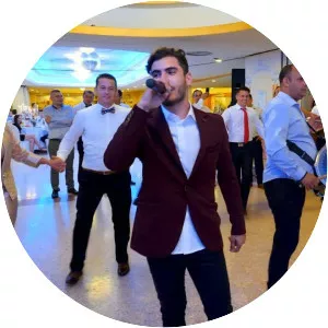 Fratii Roman - Musical artist