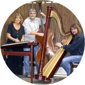 Fraunhofer Saitenmusik - Musical band