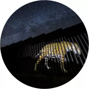 Fred F. Hazelhoff - Photographer