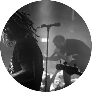 Frédéric Duquesne Musician