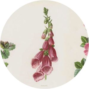 Frederick Edward Hulme