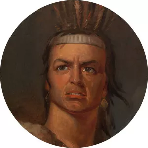 Frederick Styles Agate