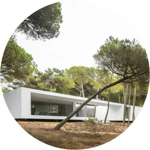 Frederico Valsassina - Architect