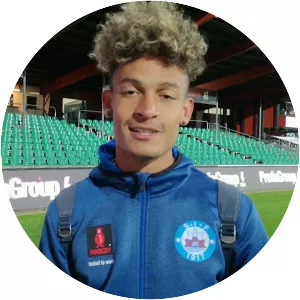 Frederik Alves Ibsen