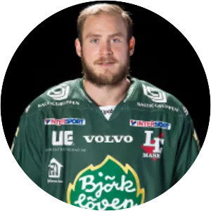 Fredric Andersson - Swedish ice hockey player