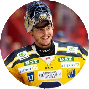 Fredrik Bergvik - Ice hockey player
