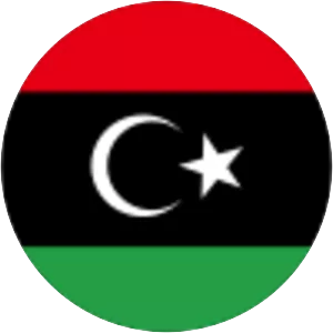 Free Libyan Air Force