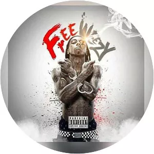 Free Weezy Album
