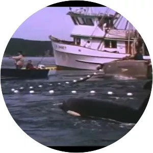 Free Willy 2: The Adventure Home