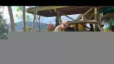 Freeman's Organic Farm