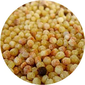 Fregula - Pasta variety