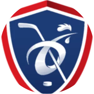 French Ice Hockey Federation