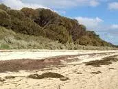 French Island Marine National Park - 