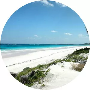 French Leave Beach - 