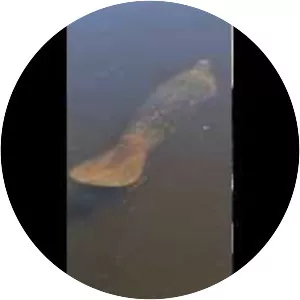 Frenchman's Forest Natural Area